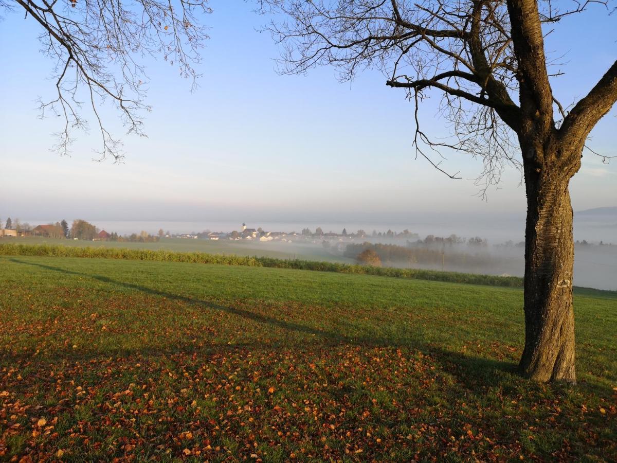 Landgasthof Zum Kirchenwirt Kellberg  ภายนอก รูปภาพ